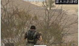 cf体验服最新爆料吃鸡,吃鸡模式全新升级，战局再掀风云！