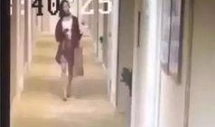 哈尔滨饭店爆料事件视频,揭露惊人内幕